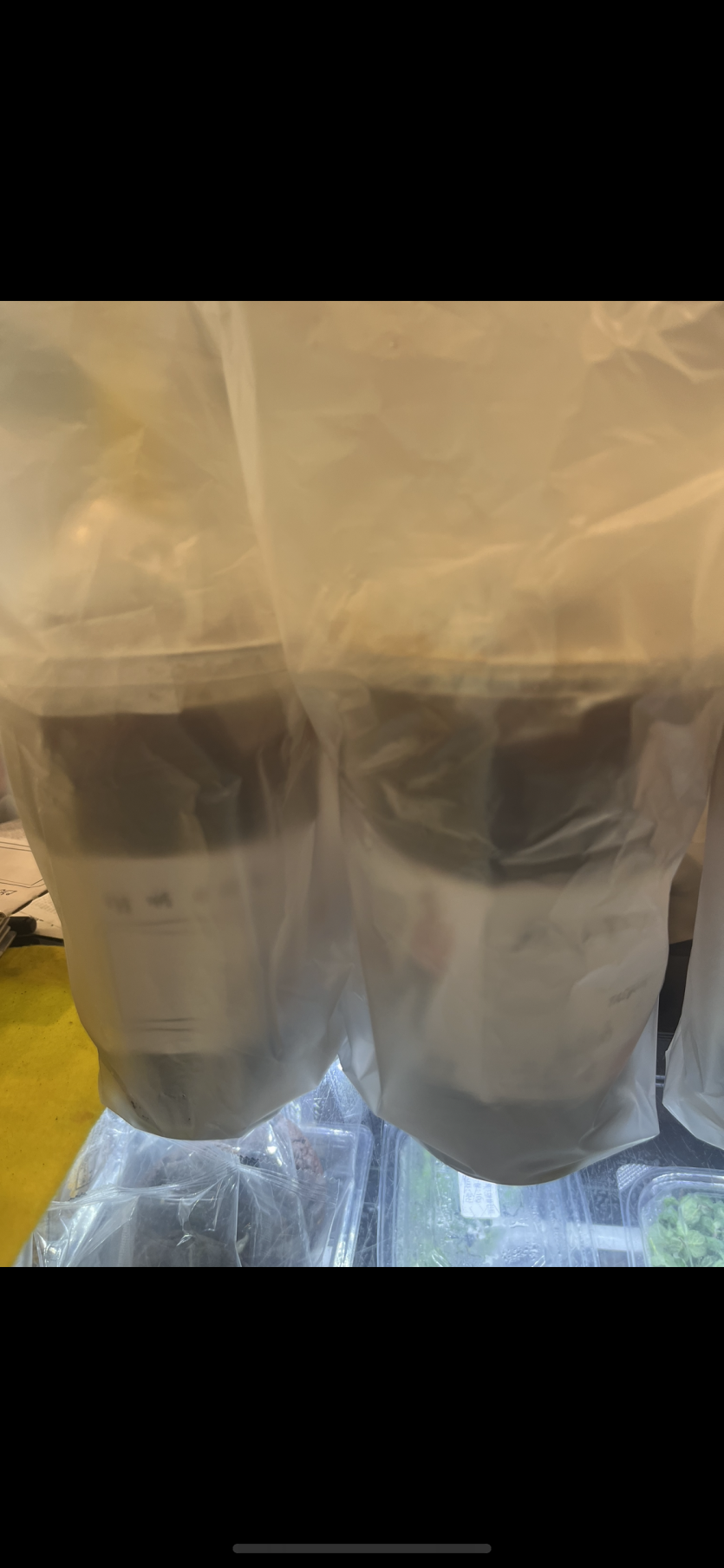 커피집 ㅜㅜ(0)