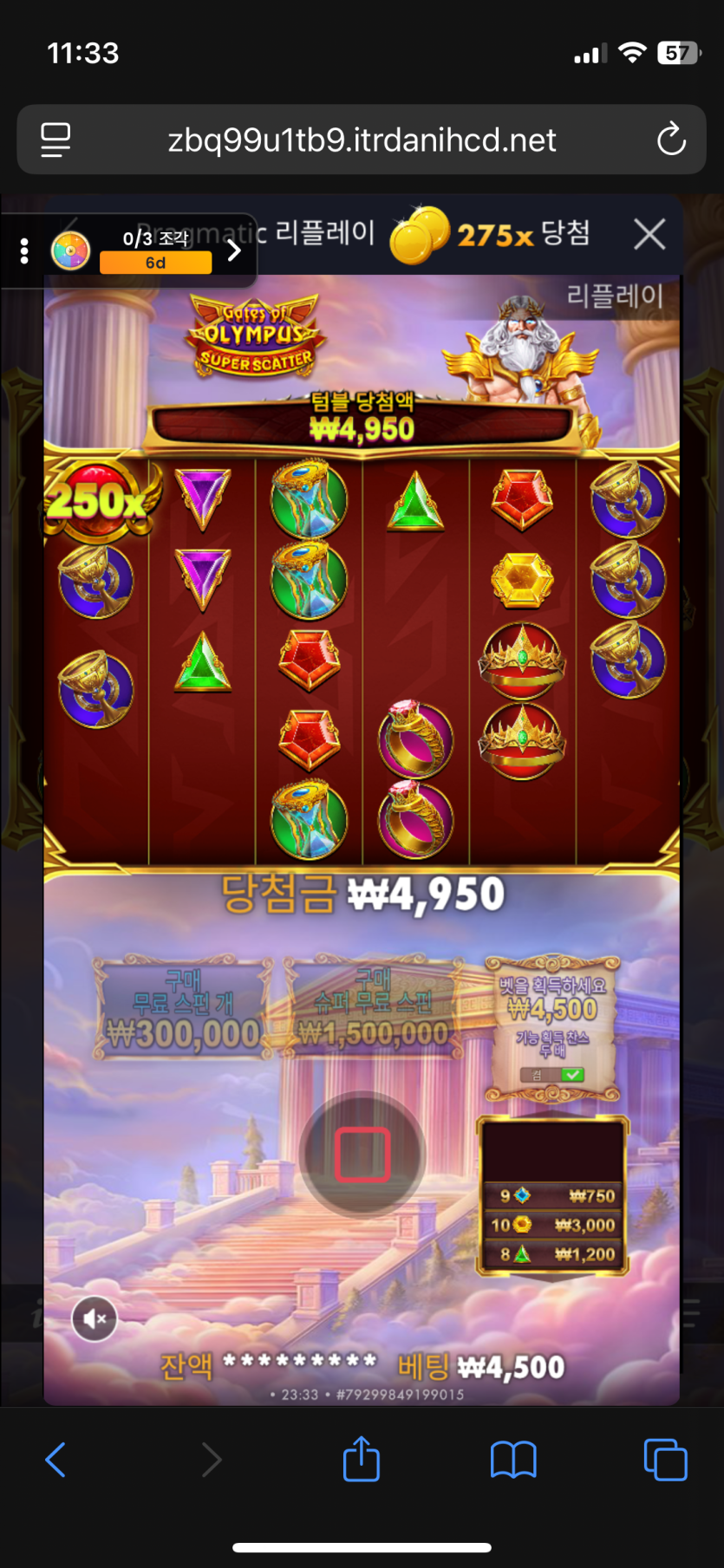 할배 바닥 100곱(0)