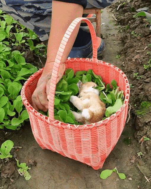 맛아의 시간이 왔습니다(0)