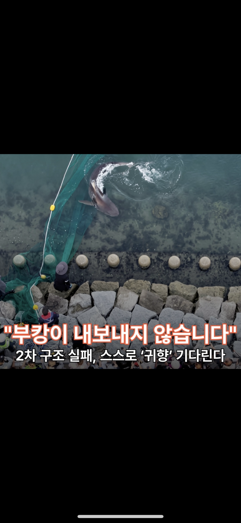 부킹이 ㅎㅎ 아직 ~(0)