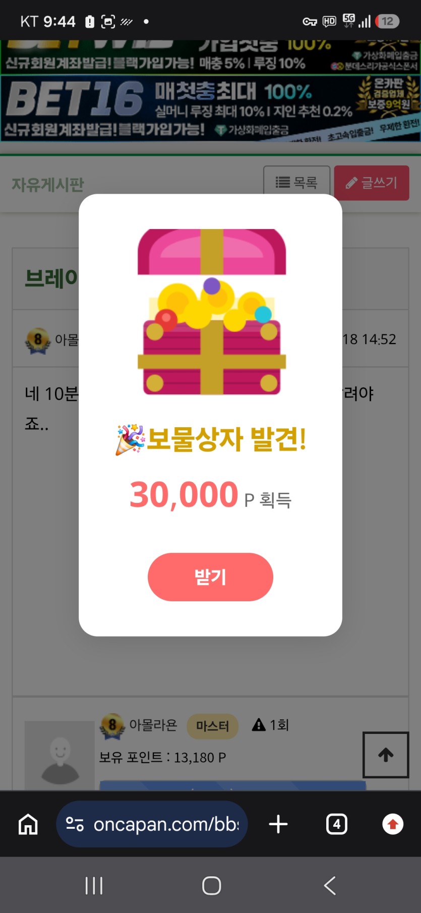 오오핑보등장(0)