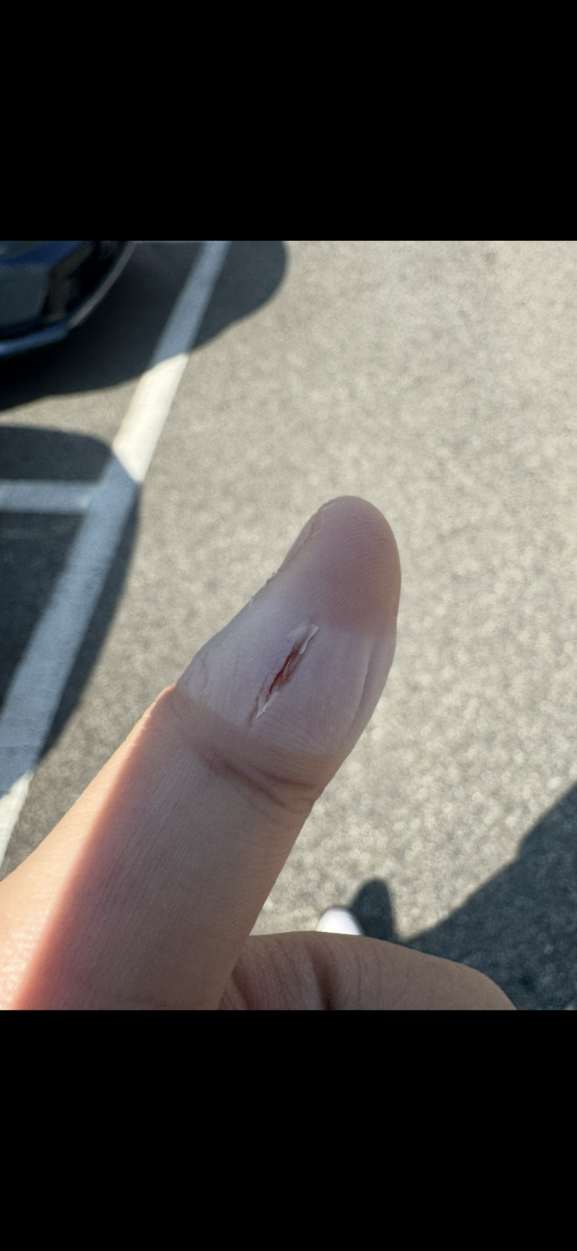 이틀동안(0)
