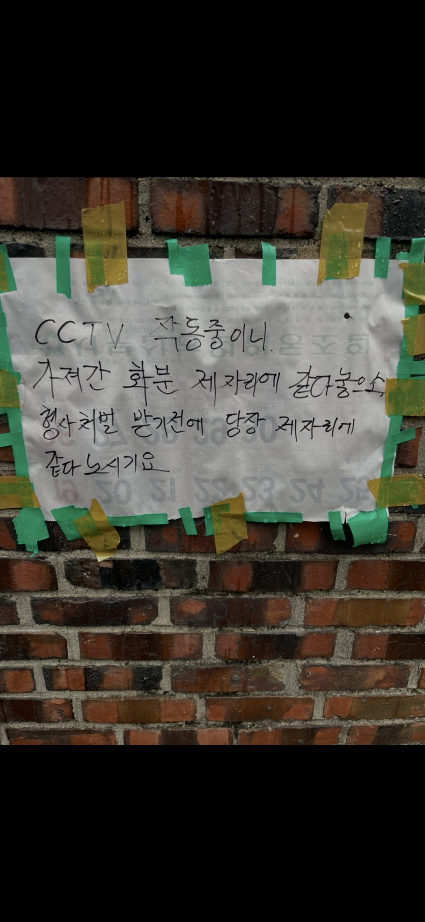 남의집 화분도 훔쳐가는듯 ㅋㅋㅋ(0)