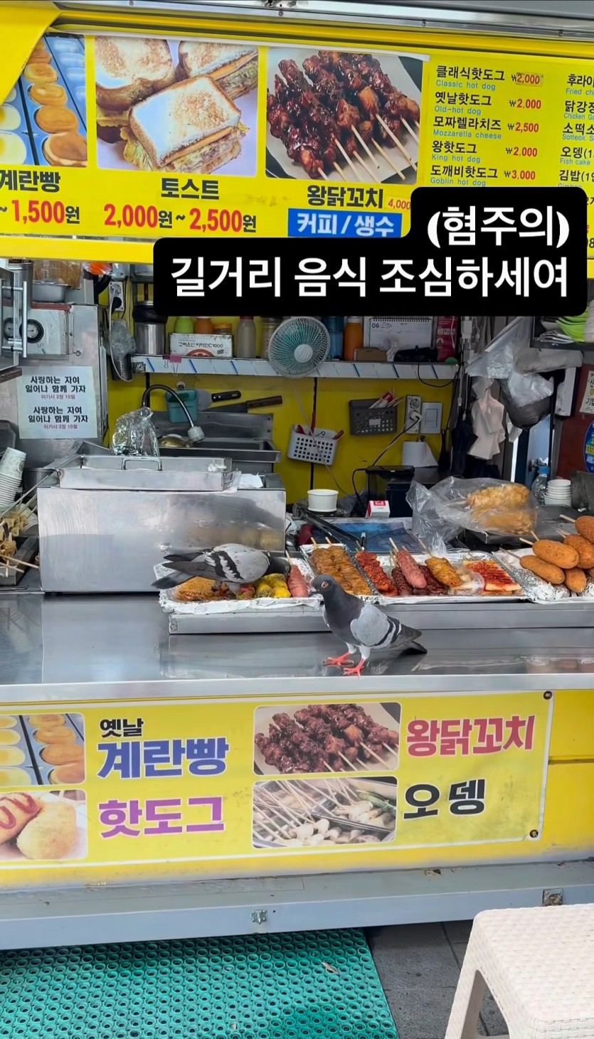 푸드트럭 걸러야함(0)