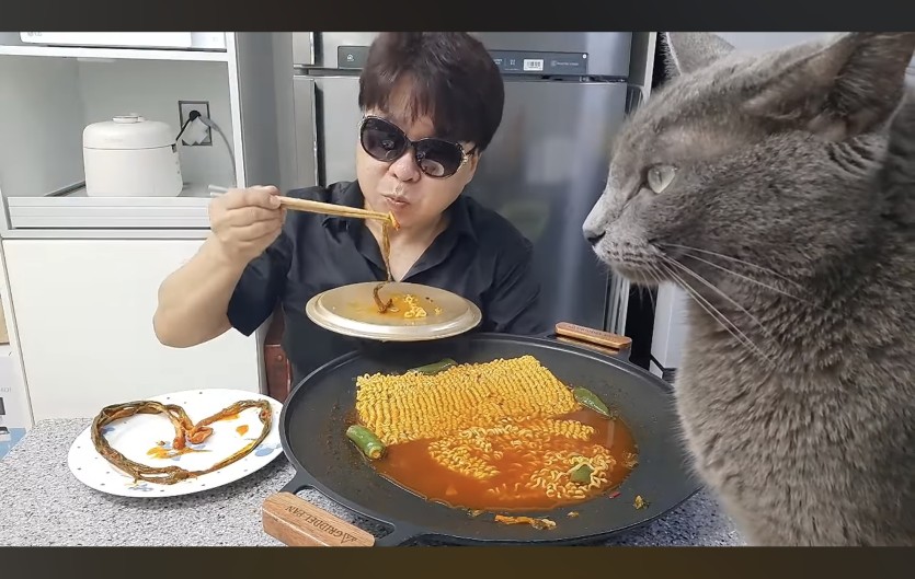 고양이는근데?(0)