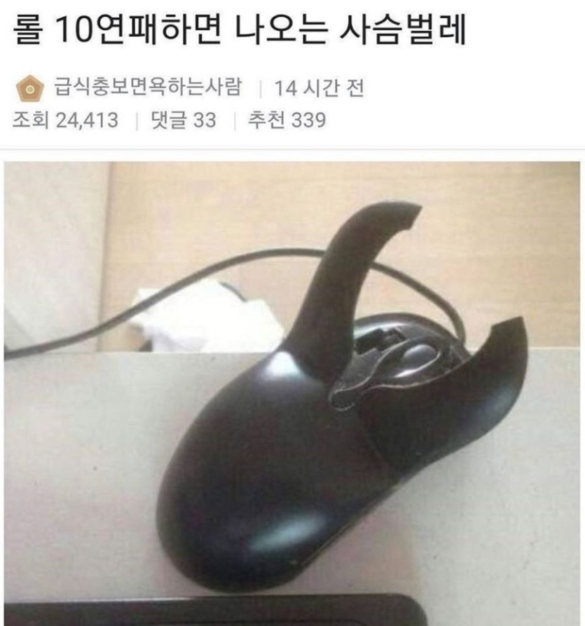 롤10연패하면 나오는 사슴벌레 :)(0)