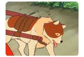 310만이나 캣는데(1)