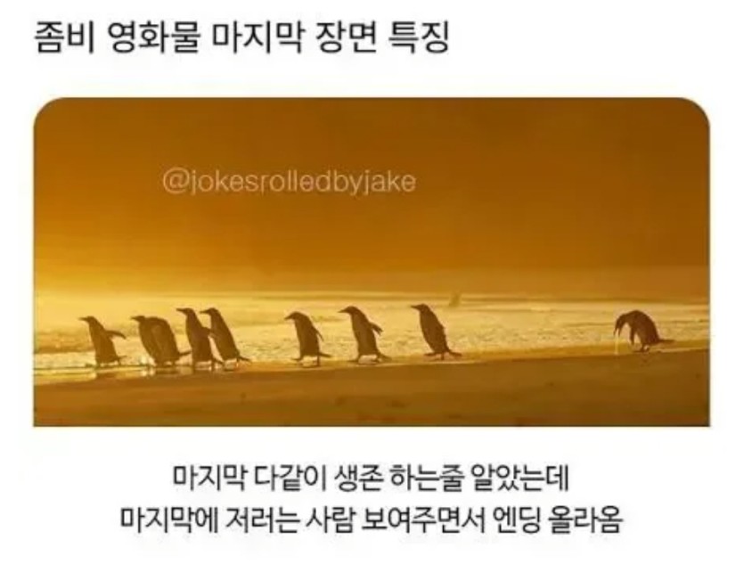 좀비영화 엔딩 특(0)