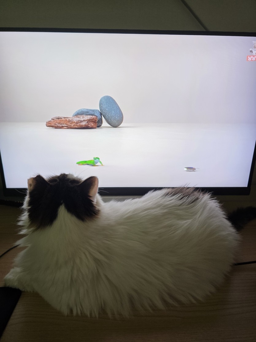 아기 ㄱㅇㅇ(0)