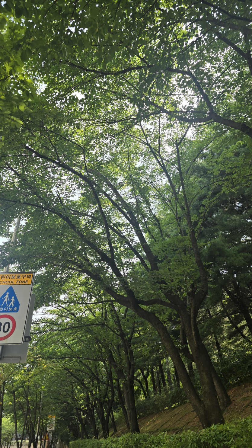 더울수록(0)