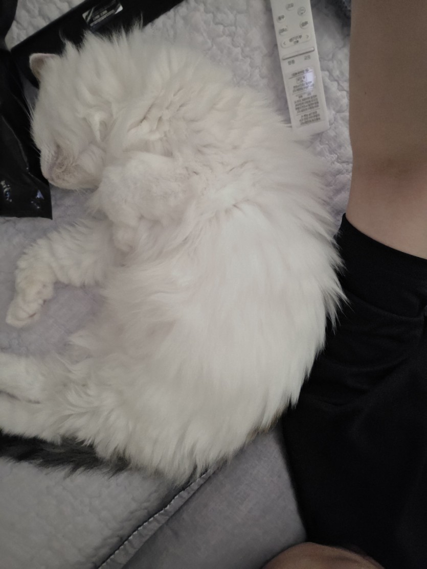 할일 다끝내고(0)