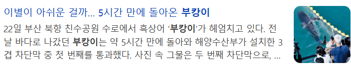 부캉이 떠난지5시간만에 돌아왔다네요(0)