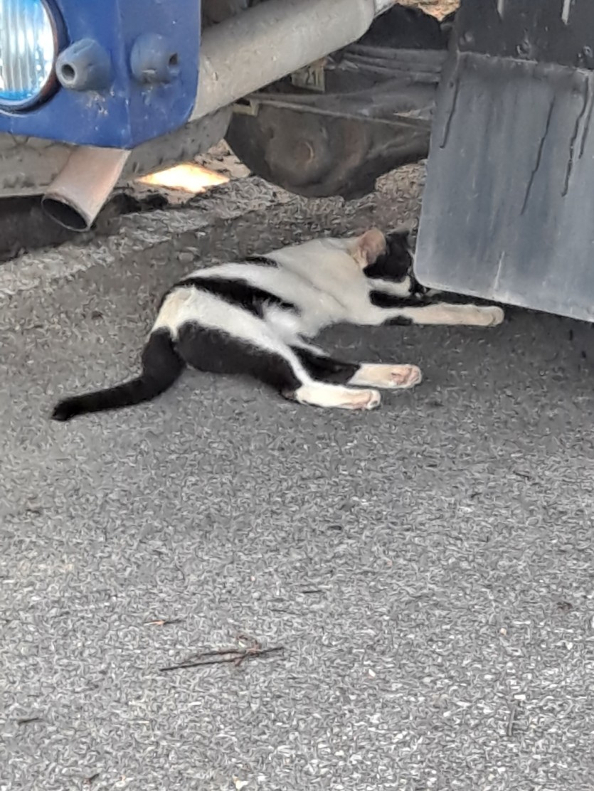 덥긴덥네요(0)