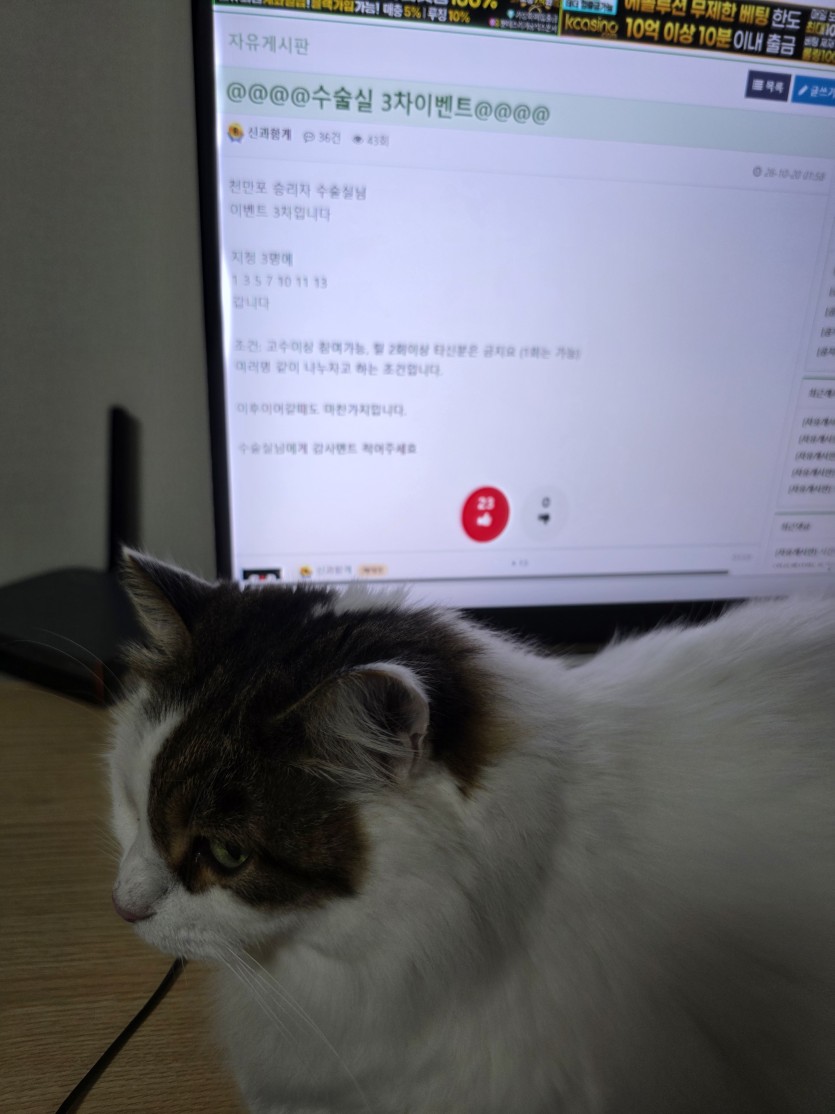 훈카한다고해서(0)