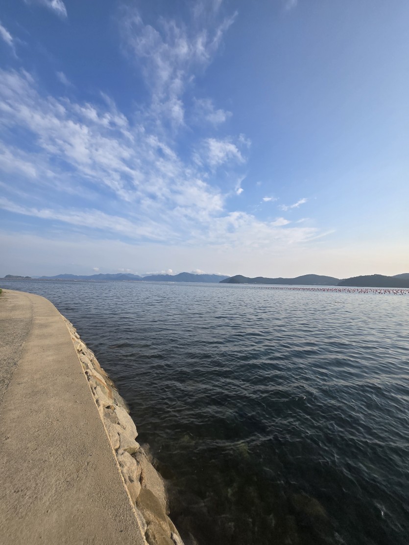 이곳은 천국이네요(0)