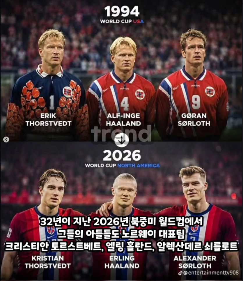 홀란드 아빠도 1994에 월드컵 출전햇엇네요(0)