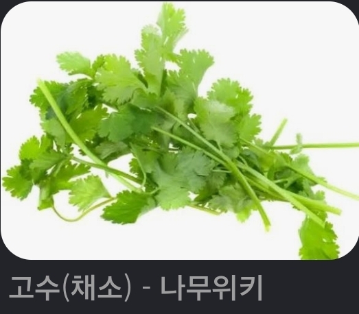 고수라는 등급에 상당한 불만입니다(0)