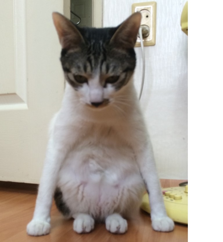 익명의 훈지가..(0)