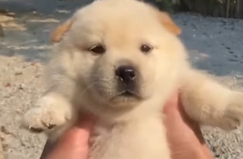 KT 잘따라가다가(0)