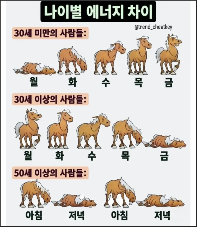 나이 별 에너지(0)