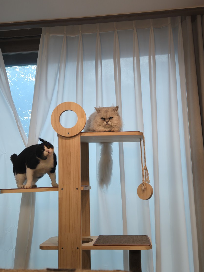 울집 사명대사입니다(2)