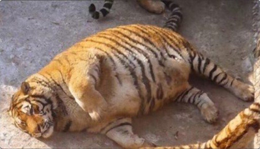 믈브 즐감건승 하새우~!!(0)