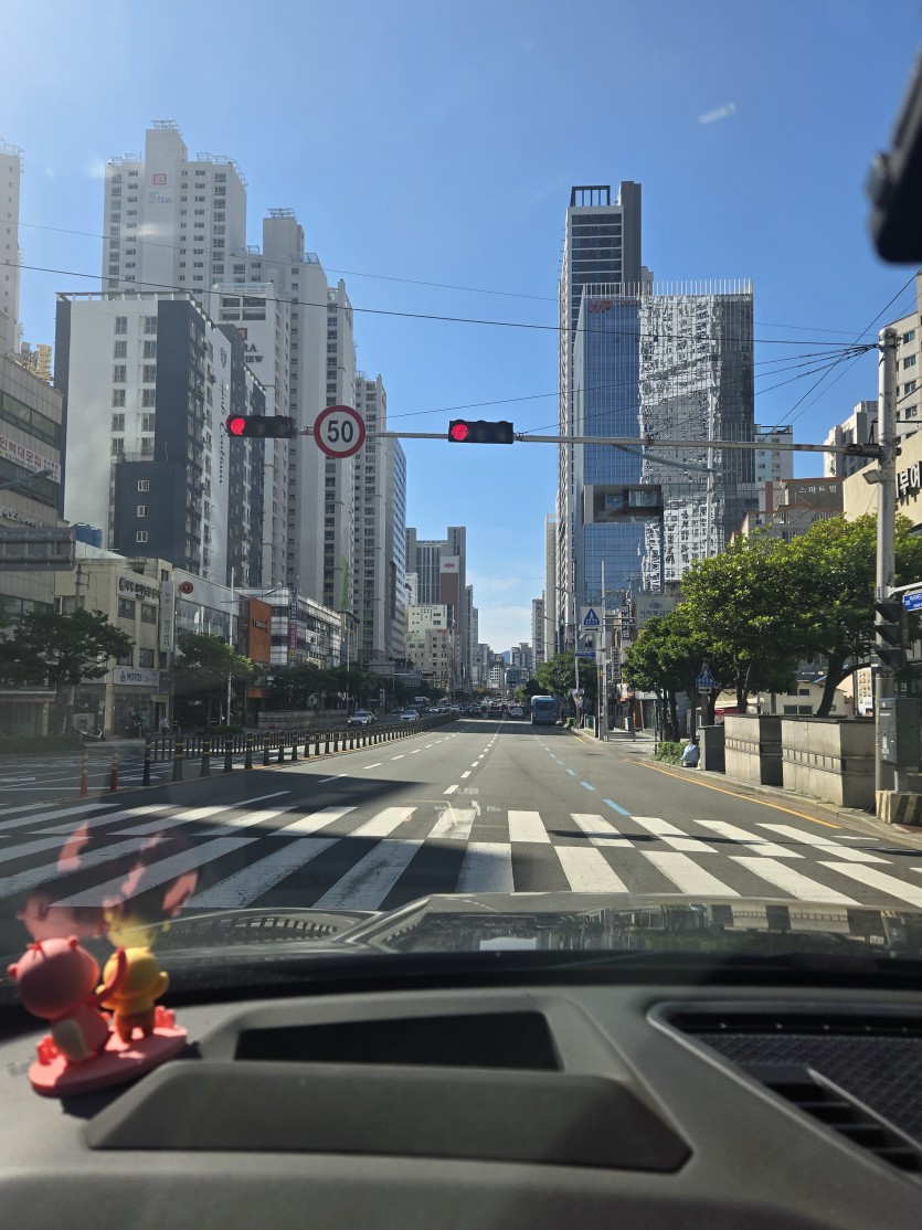 킁킁 도시냄새가 납니다 ㅋ(0)