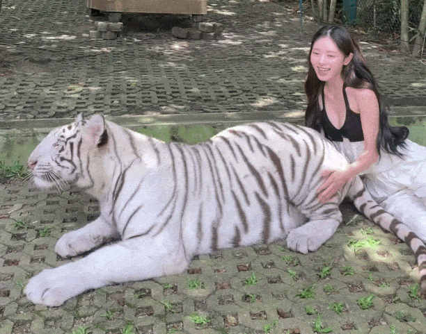 진짜 발라당 까져가지고는(0)