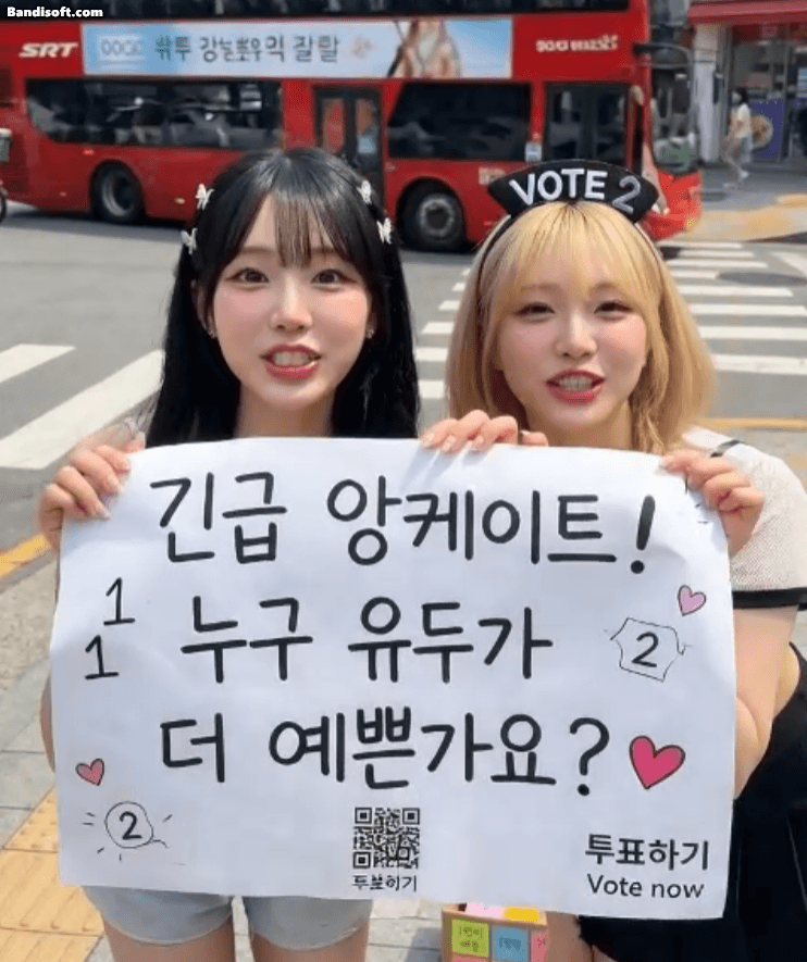 다들 뭐하시나요?(0)