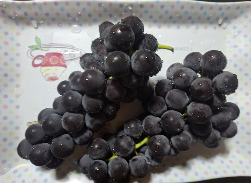 간식무브요.(0)