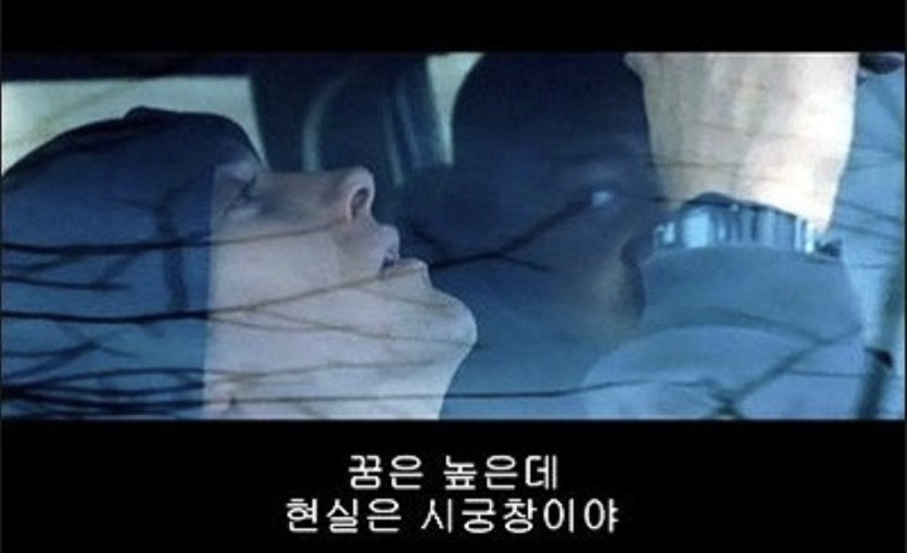 꿈은 높은데 현실은 시궁창인분(0)