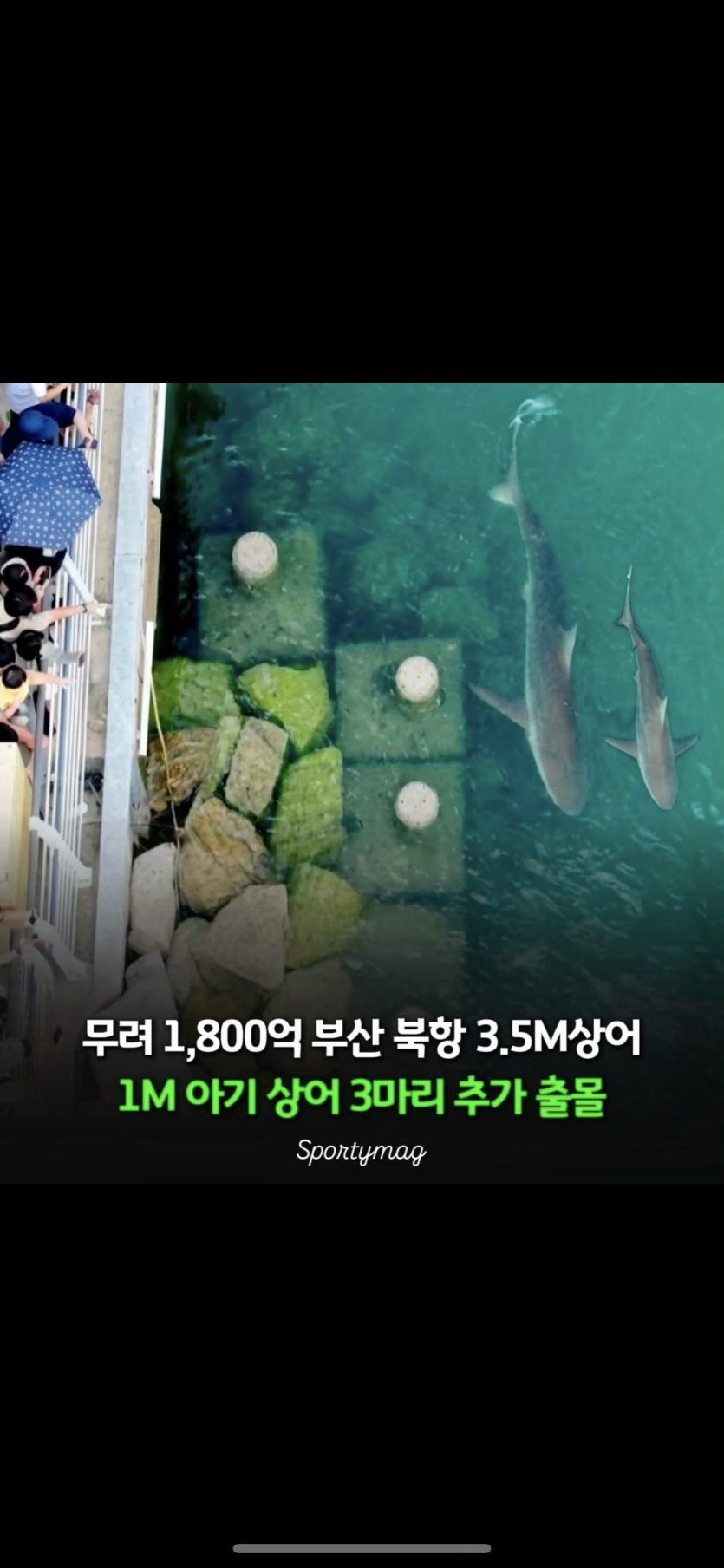 부킹이 보러 ~~(0)