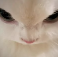 후 쉬러가야겠습니다(0)