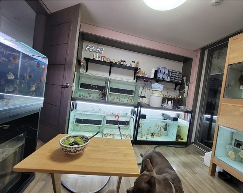 울집 비밀의 방 ㅋ(0)