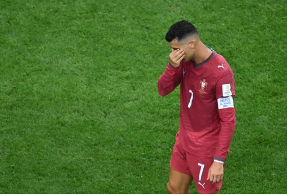 포르투갈은 안락사 당했군요(0)