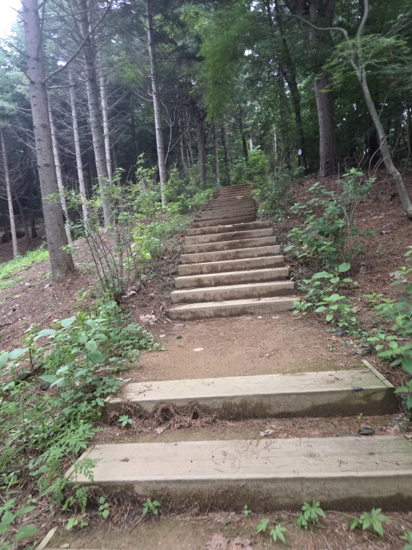 저는 산공기를 졸아합니다(0)