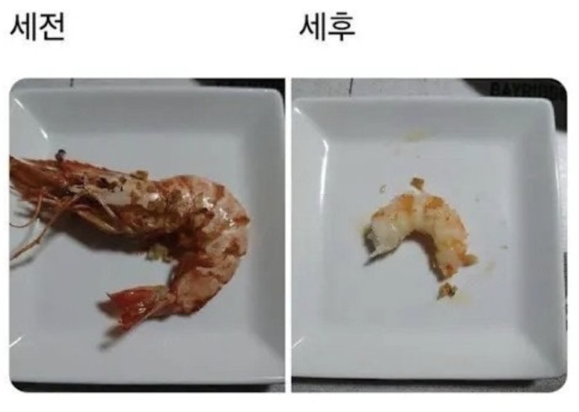 세전 세후(0)