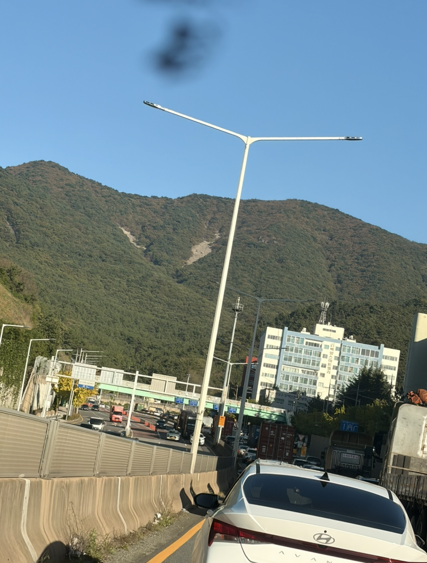 벌써 차막히네요(0)