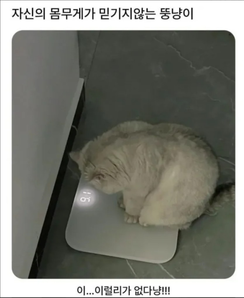 내일부터 다이어트다(0)