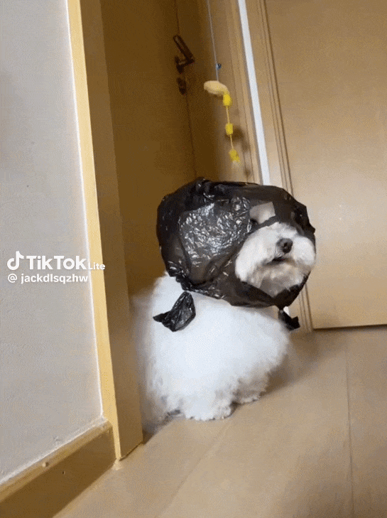 ⏰출석대기 시간입니다!!!(0)