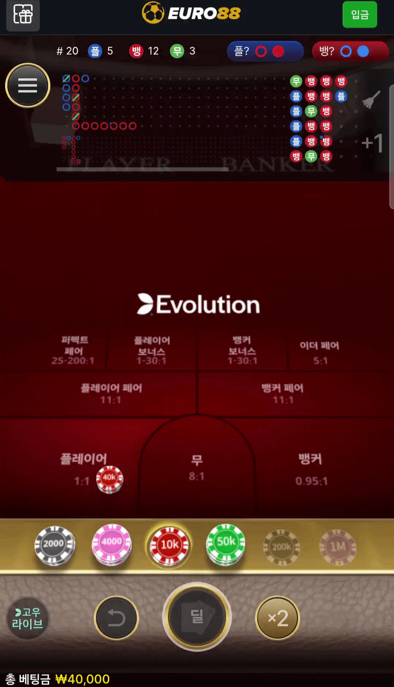 1인칭 바카라 주작 테스트(1)