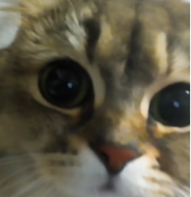 오뎅 얘기가 나와서 말인데요..(0)