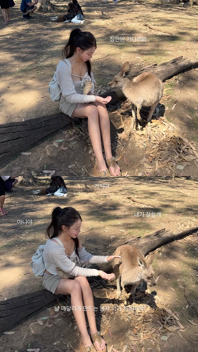 왈라비와 함께 하는(0)