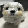 체크 중요합니다(0)