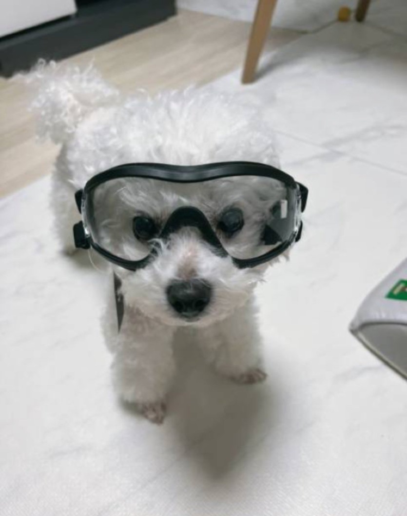 오출범 입니다(0)