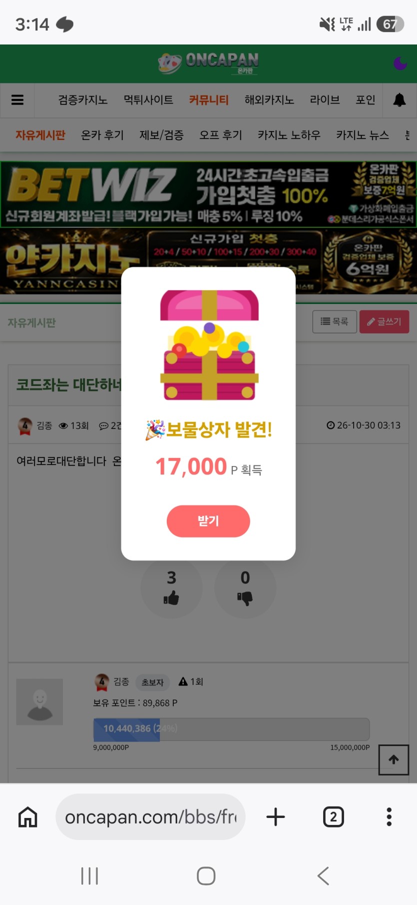 핑보 ㅅㅅㅅㅅㅅㅅㅅㅅㅅ 핑크보(0)