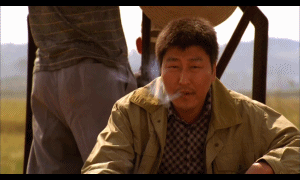 메이저 개늠덜...(0)