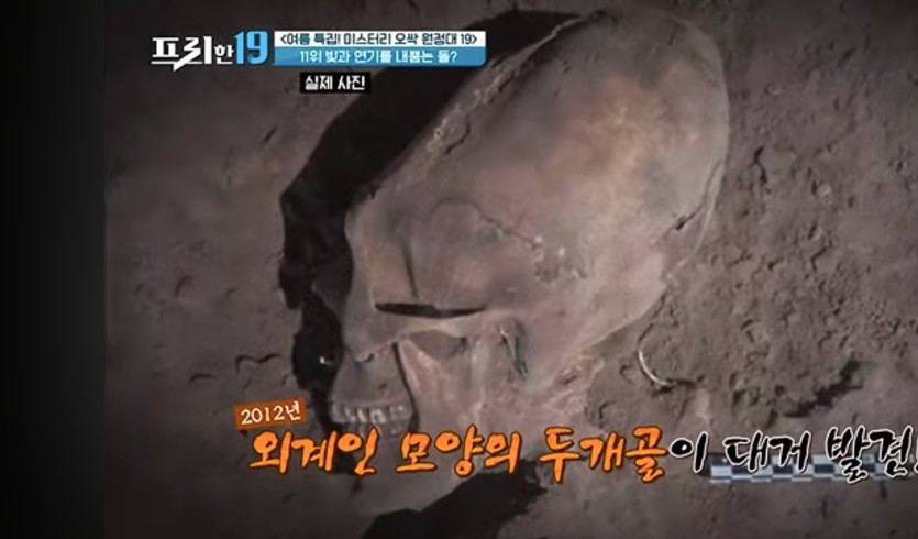 외계인은 이미 있었습니다.(0)