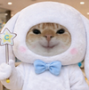 새벽반 몇달만인데(0)