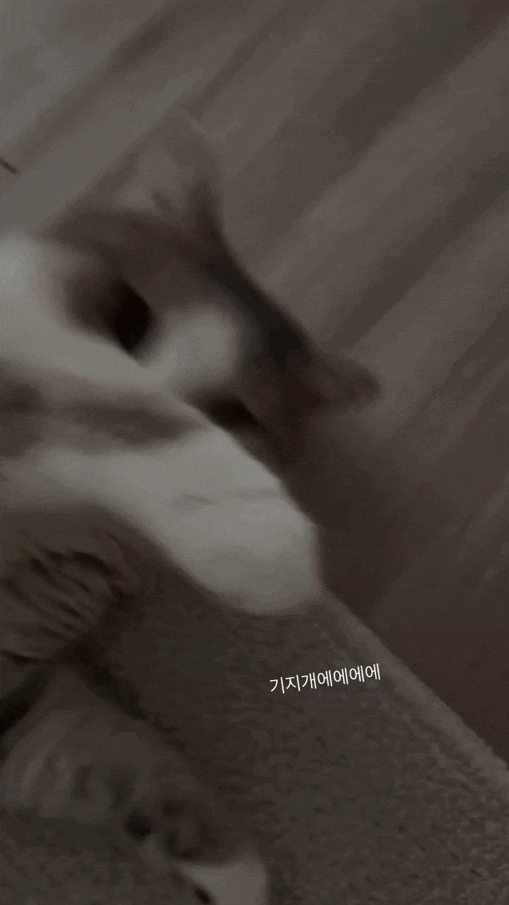 스탐글인데(0)